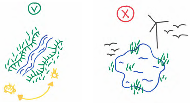 afbeelding binnen de regeling